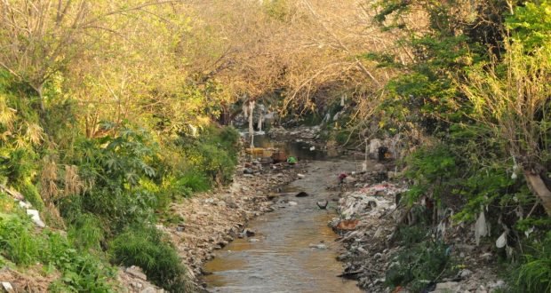 Los arroyos tienen remedio y deben ser una prioridad