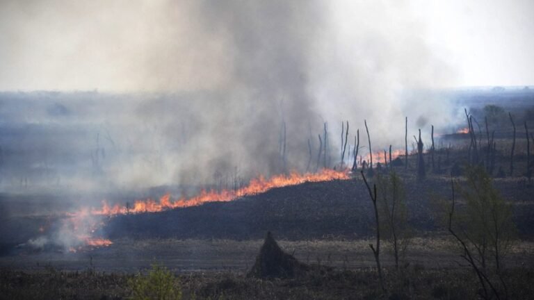 Magallán: «El Estado hace poco para prevenir los incendios forestales»