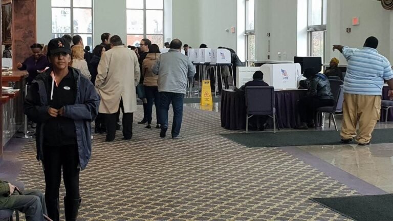 La observación electoral como herramienta de control sobre los gobernantes