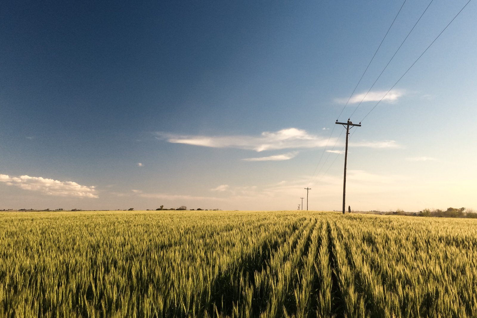 Alimentar la tierra para potenciar el futuro: el desafío de una producción sostenible